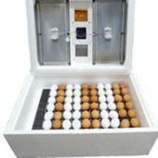 Инкубатор Золушка 70 яиц 12/220/горячая вода, автоматический поворот
